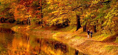 Bucks County, PA Fall Foliage